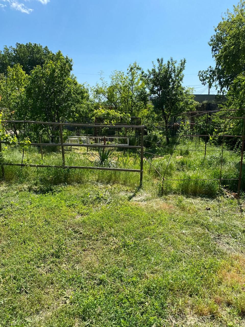 The plot on Novikova Street