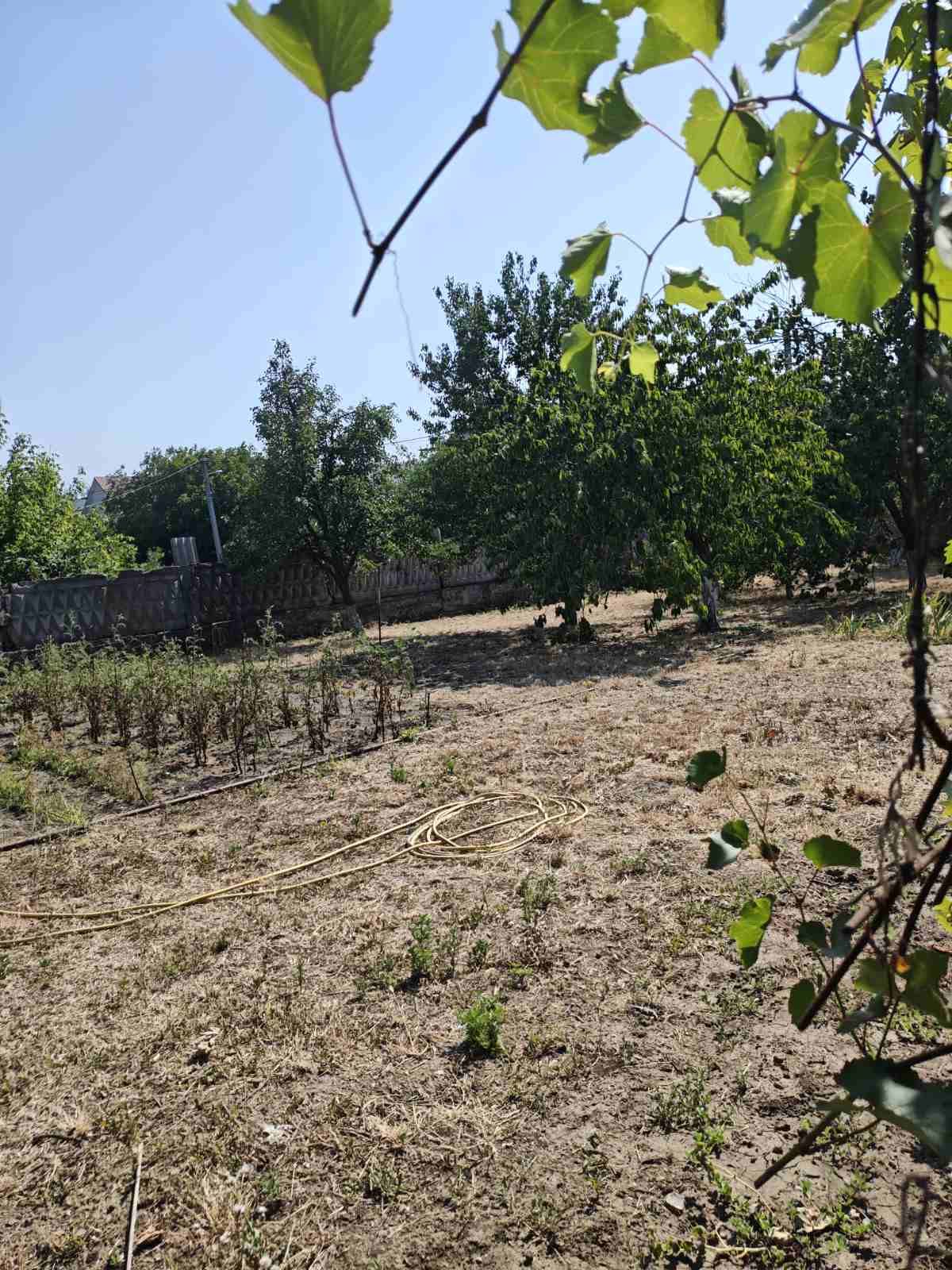 Ділянка на Гінзбург Л. пров.