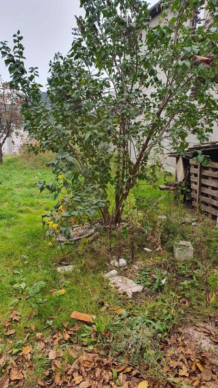 Участок на Любашівська вул.